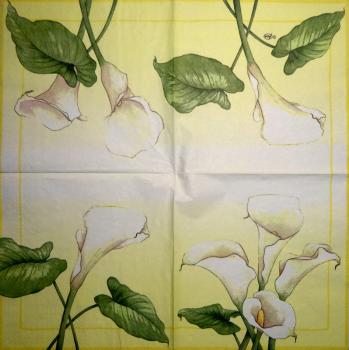 031 Calla - 3-lagig - Ambiente